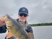 Big Perch around Boyle
