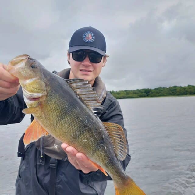 perch2