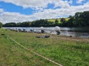 Irish Angling Update π£ 1 August 2025