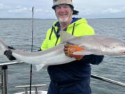 Sharks, spurs and surprise catches in west Clare