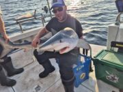 Irish Angling Update 15 August 2025