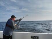 TunaMick off the mark with the Bluefin