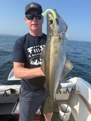 A typical reef pollack. Great fighters. 60g Head with a generic shad