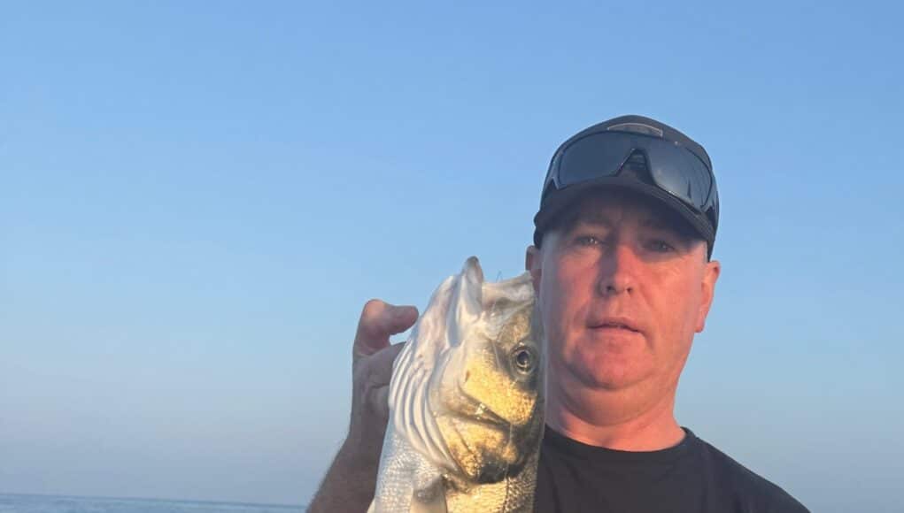 bass