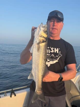 bass