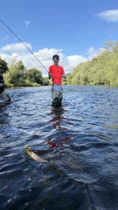 trout