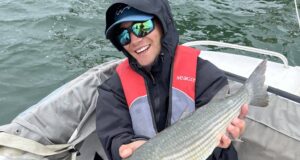 Great saltwater flyfishing in Cork Harbour