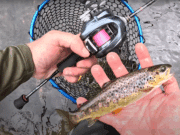 Senan’s intro to BFS fishing for wild brown trout