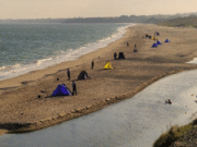 Ringsend Irishtown SAC wary of weavers during Master Angler at Clone Strand