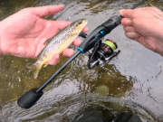 Wild Stream Fishing for Native Brown Trout | Ultralight Spinner Adventure with Senan Stanley