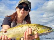 Perch, trout & pike for Austrian guests of Angling Services Ireland in Boyle