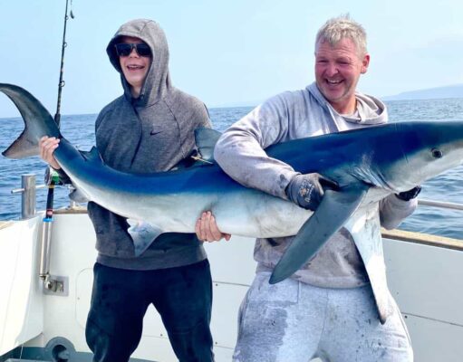 blue shark