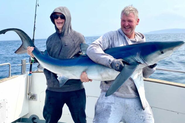 blue shark
