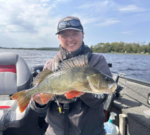 perch