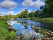 Latest news from Piscari-Fly including reports on the River Nore & Sgilloges Lakes