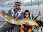 Pike of up to 106cm for guests of Tomi Guidedfishing