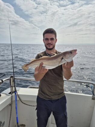 Whiting