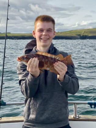 wrasse