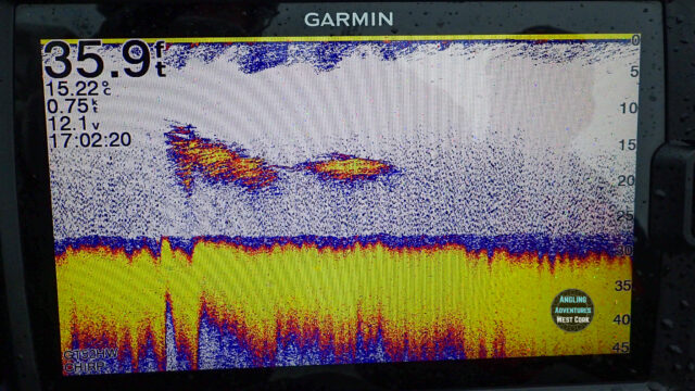 fish finder screen