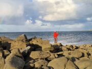 Irish Angling Update π£ 26 September 2025