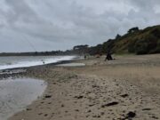 Bass & Gurnards feature for South Shore SAC at Roney Point