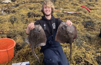 Thornback fun at Galway Bay SAC competition in Clew Bay