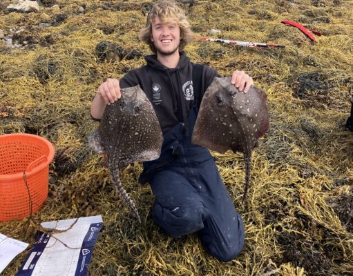 Thornback fun at Galway Bay SAC competition in Clew Bay