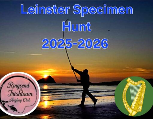 Ringsend Irishtown Angling Club announce Specimen Hunt 2025-2206 Competition