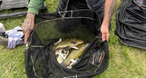 Edenderry Anglers bring their season to a close