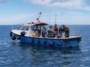 Numerous species and Ten Tope Tagged for Wicklow Boat Charters