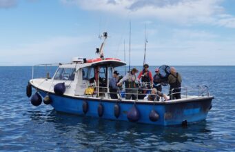 Numerous species and Ten Tope Tagged for Wicklow Boat Charters