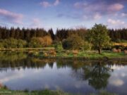 Dodder Anglers host Open Day at Laois Angling Centre