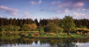 Dodder Anglers host Open Day at Laois Angling Centre