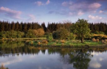 Dodder Anglers host Open Day at Laois Angling Centre
