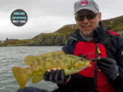 Fish play hard to get but plenty to enjoy for kayak anglers in West Cork wrasse
