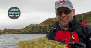 wrasse