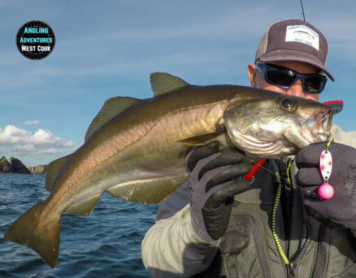 Conditions improve for kayak anglers in West Cork and more to come pollack