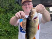 Big Corrib Perch for Tom