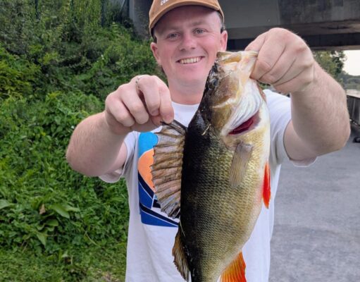 Big Corrib Perch for Tom