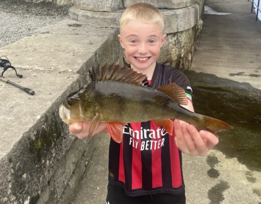 Great perch fishing in Lanesborough for Donnacha perch