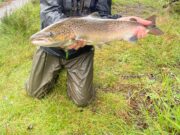 August on the Erriff, too hot, not enough rain Ian Ferris, Coronation pool, River Erriff