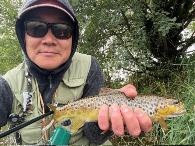 One of Tim's fish