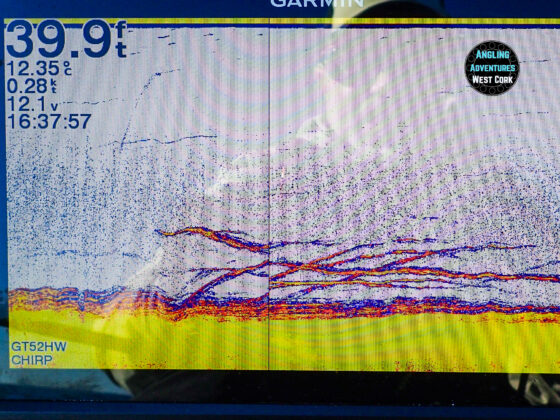 Good fish showing on the fish finder
