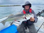 Bass fishing in Cork Harbour going well Richie with a bass