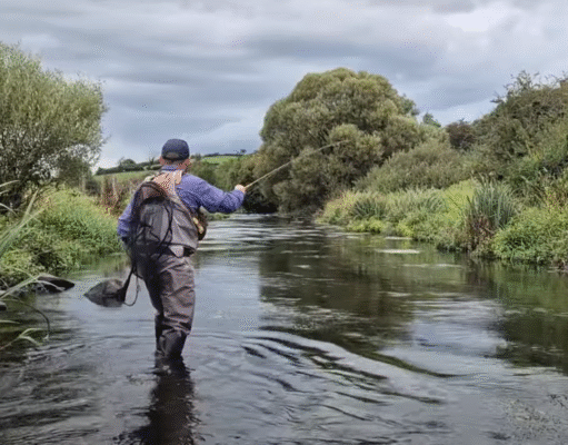 September dry fly on the Fane with Táin Fly Fishing