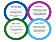 Calling all angling stakeholders – please make a submission to IFI’s Statement of Strategy 2026-2030