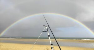 rainbow Ardmore