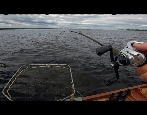 Lure anglers getting great fishing on Lough Derg