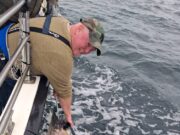 Great bluefin tuna fishing for Killybegs Fishing Trips in Donegal Bay
