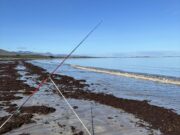 Irish Angling Update 3 October 2025